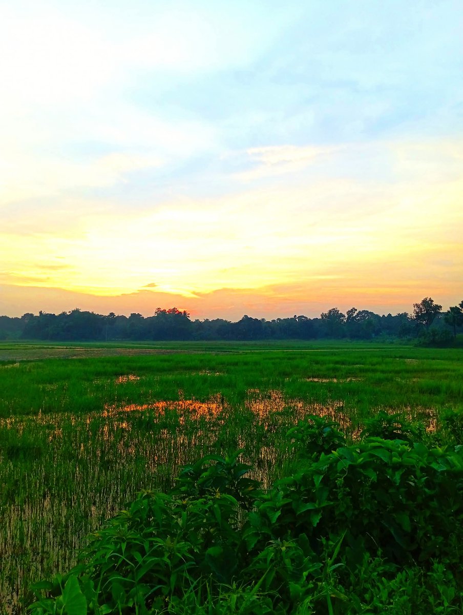 Wahid Chaudhary (@tweet2wahidc) on Twitter photo рдореЗрд░реЗ рдкреНрдпрд╛рд░реЗ рджреЛрд╕реНрдд рдореИрдВ рдЖрдк рд╕рднреА рдХреЗ Post рдкреЗ рдЖрдирд╛ рдЪрд╛рд╣рддрд╛ рд╣реБрдБ рдЖрдк рд▓реЛрдЧреЛ рдХреА рд╢рд┐рдХрд╛рдпрдд Book Mark Share Repost and Comment рдХреЗ рд╕рд╛рде рдХрд░рдирд╛ рдЪрд╛рд╣рддрд╛ рд╣реБрдБ 
#goodeveningeveryone рдореЗрд░реЗ рдкреНрдпрд╛рд░реЗ рджреЛрд╕реНрдд рдореИрдВ рдЖрдк рд╕рднреА рдХреЗ Post рдкреЗ рдЖрдирд╛ рдЪрд╛рд╣рддрд╛ рд╣реБрдБ рдЖрдк рд▓реЛрдЧреЛ рдХреА рд╢рд┐рдХрд╛рдпрдд Book Mark Share Repost and Comment рдХреЗ рд╕рд╛рде рдХрд░рдирд╛ рдЪрд╛рд╣рддрд╛ рд╣реБрдБ 
#goodeveningeveryone