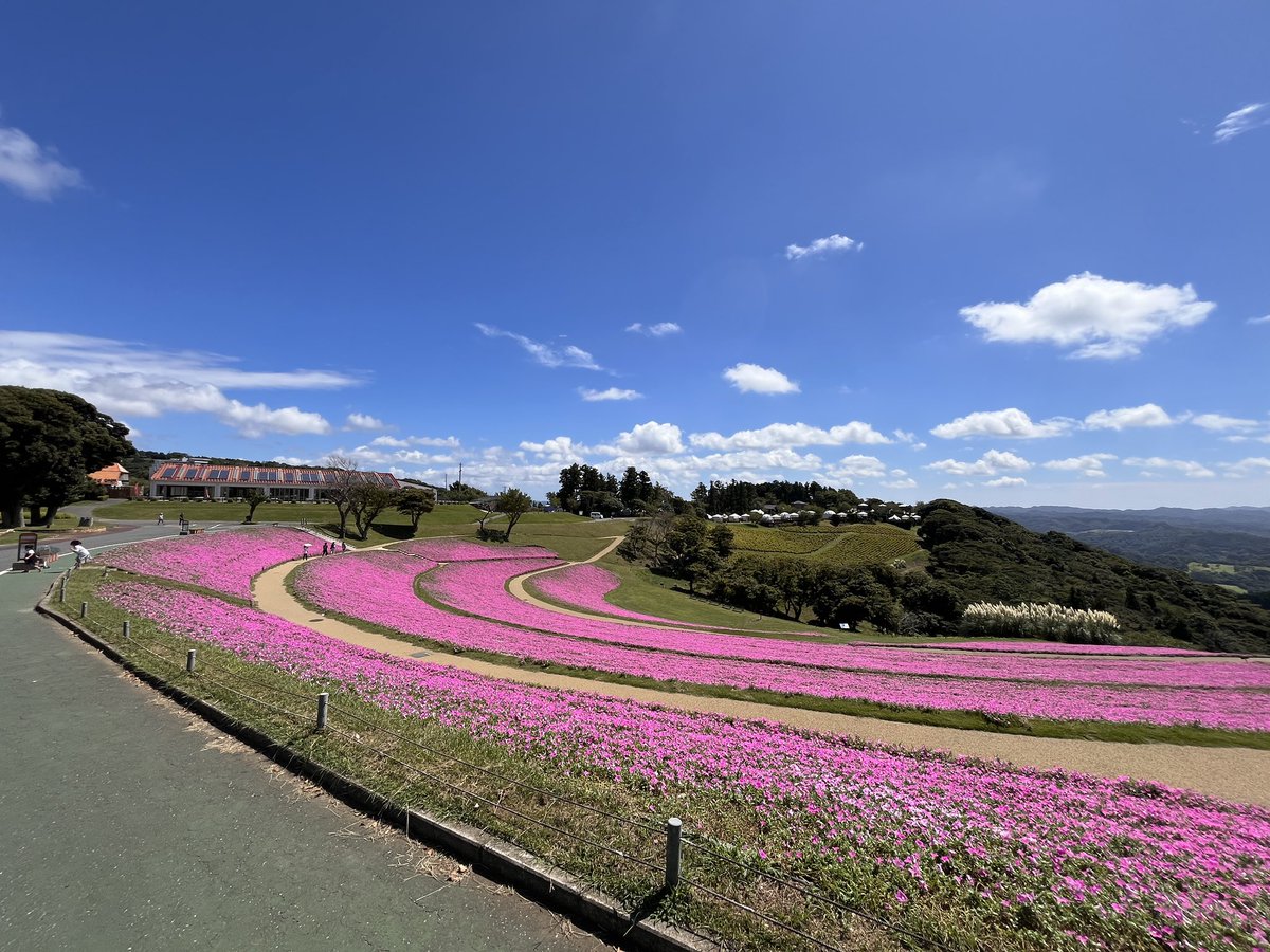 初めてマザー牧場に行きました。暑いですがかなり楽しめました😄
春か秋に行くと最高でしょうねー！
