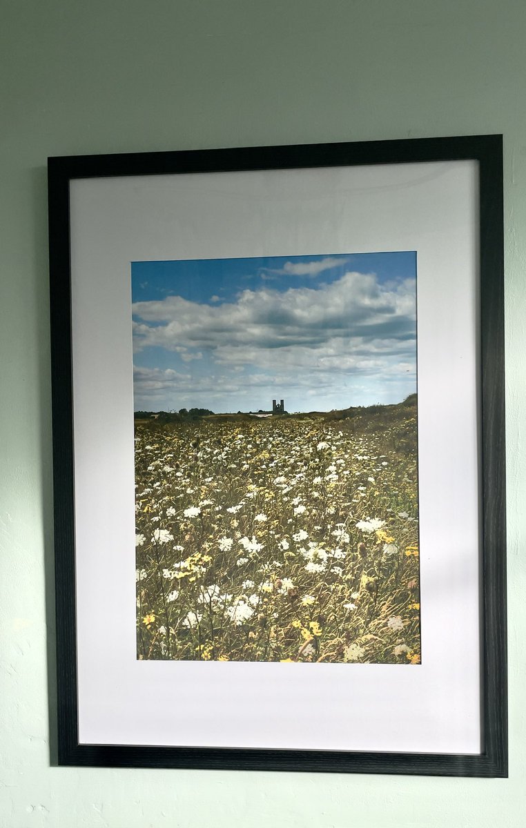 Wildflowers at reculver 
A1 frame , A2 print