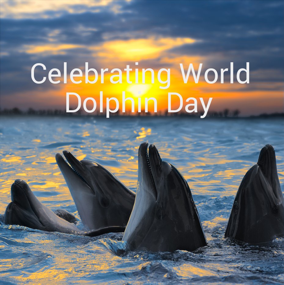 A Local Printer Ltd tweet media