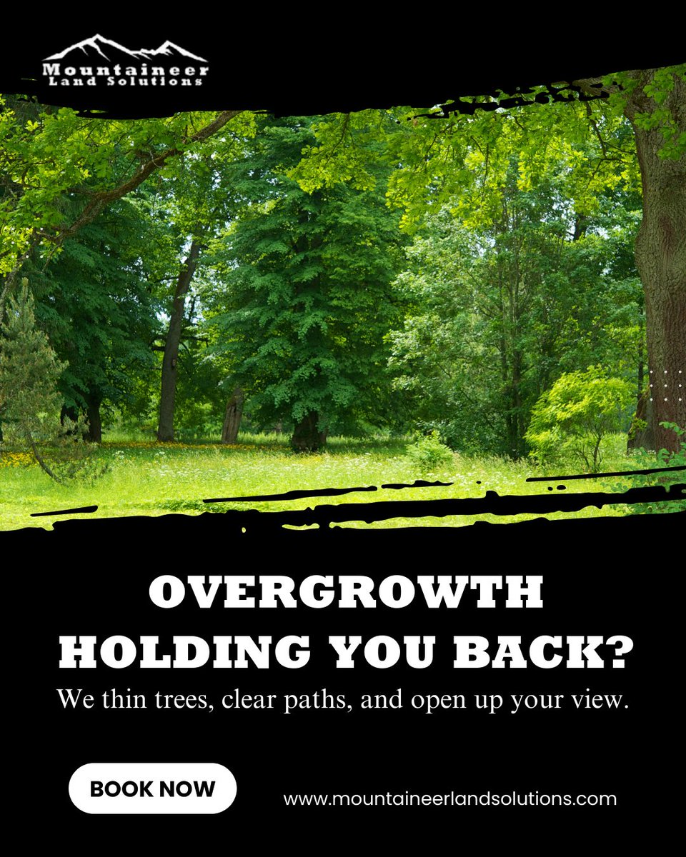 mountaineerland's tweet image. Overgrowth can take away the beauty and function of your land.

We thin trees, clear paths, and restore open, usable space.

Book now and take back control of your land.

mountaineerlandsolutions.com

#landclearing #propertymanagement #landsolutions