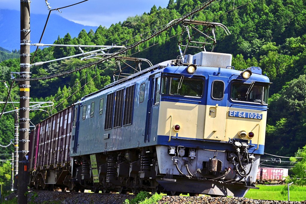 2025 7/26 81レ EF64 1025号機+コキ
この日は前から行ってみたかった場所で撮影してきました📷  EF64貨物列車はカッコ良くて惚れ惚れします👍この日は天気に恵まれましたが暑かった〜🥵