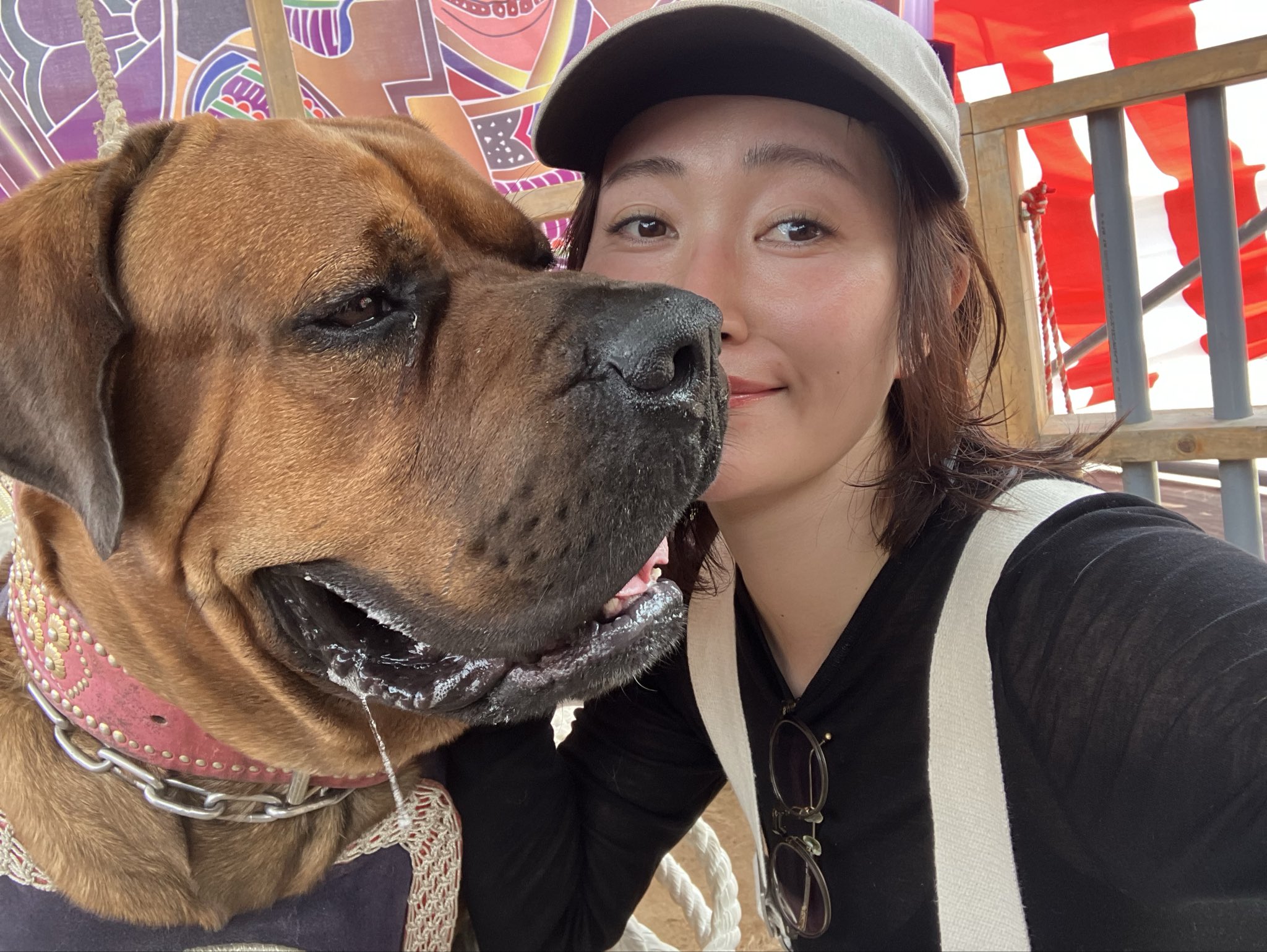 ヤチコダルマ　土佐犬抱っこ ヤチコダルマ 土佐犬抱っこ