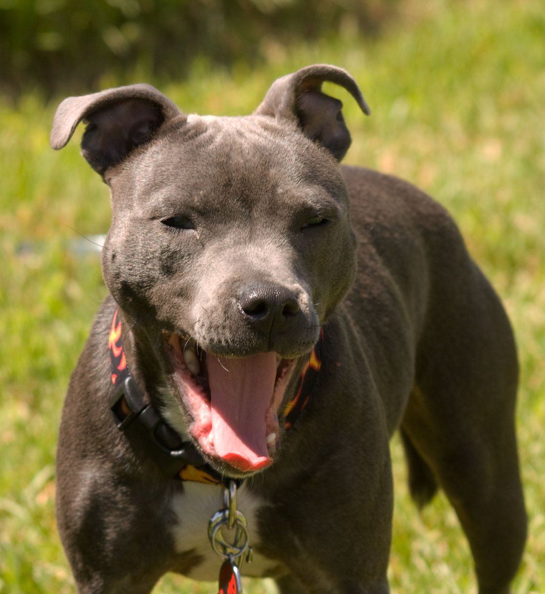 Dr Ultra tweet media