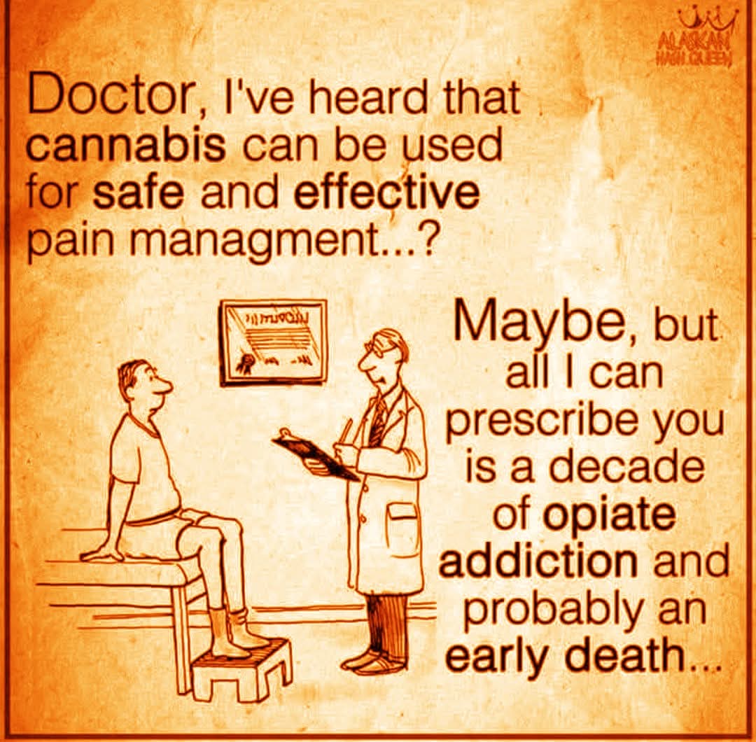 :&gt;}_~#WakeNBake #StonerFam #StonerCircle #StonerNation #IAmCannabis #WeAreCannabis #FuckCancer #StayWoke &amp; ALL #STONERS ~HappyThursDazed~