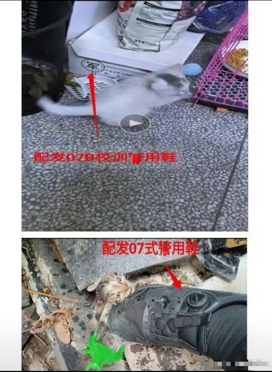 GMbeki31765's tweet photo. A police officer named Li Xiang- who is supposed to protect animals is actively abusing them and uploading videos on Telegram.
China is truly a doomed country. Forget law and order; even empathy has died there.
@PhaedraXTeddy @samesama4149224 https://t.co/09oA7y7fWl