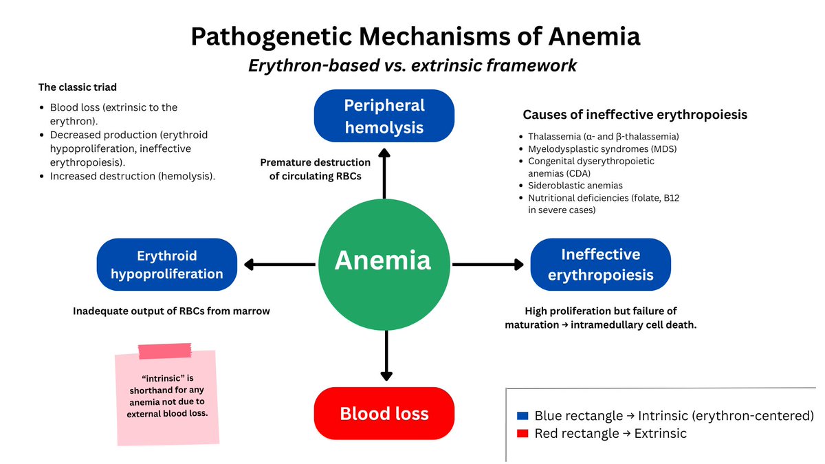 William Aird tweet media