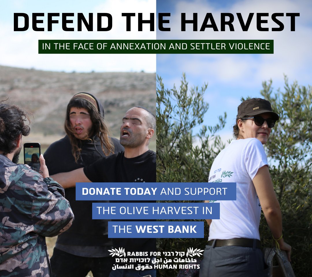 “Every family shall sit under their vine &amp; fig tree, &amp; know no harm” – Micah 4:4

Settler violence threatens Palestinian families &amp; their harvest. Rabbis for Human Rights brings volunteers to protect farmers &amp; defend the olive harvest. Support today.
👉 causematch.com/DefendTheHarve…