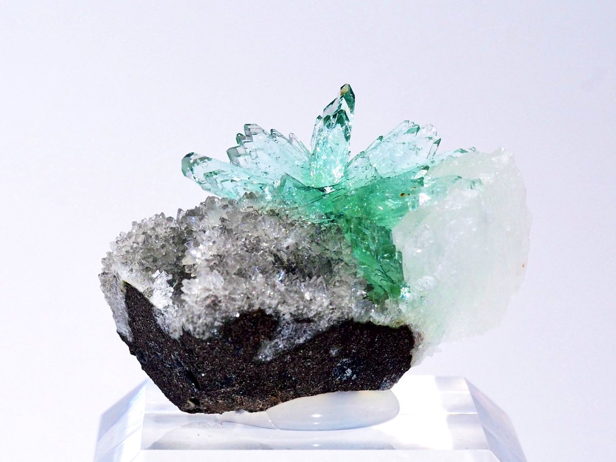 Ryota-M (@Ryota_Mineral) / Posts / X