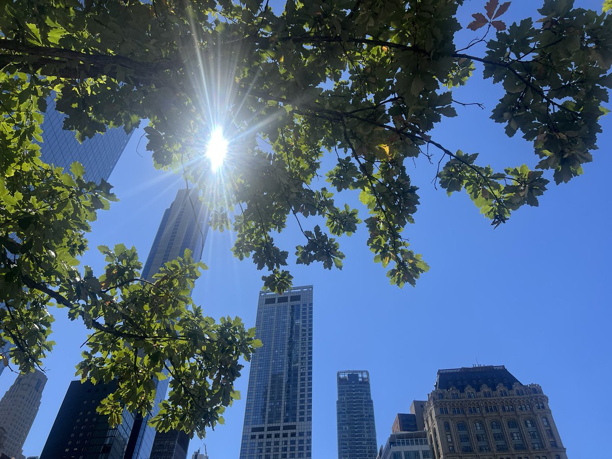 nishaparmar191's tweet image. On Monday we visited 9/11 memorial for the first time from England.. the beauty of the deconstruction that was before and what is now was breathtaking the survived callery pear tree the Seprember Sunshine was so beautiful #9/11 #alwaysremember @Sept11Memorial