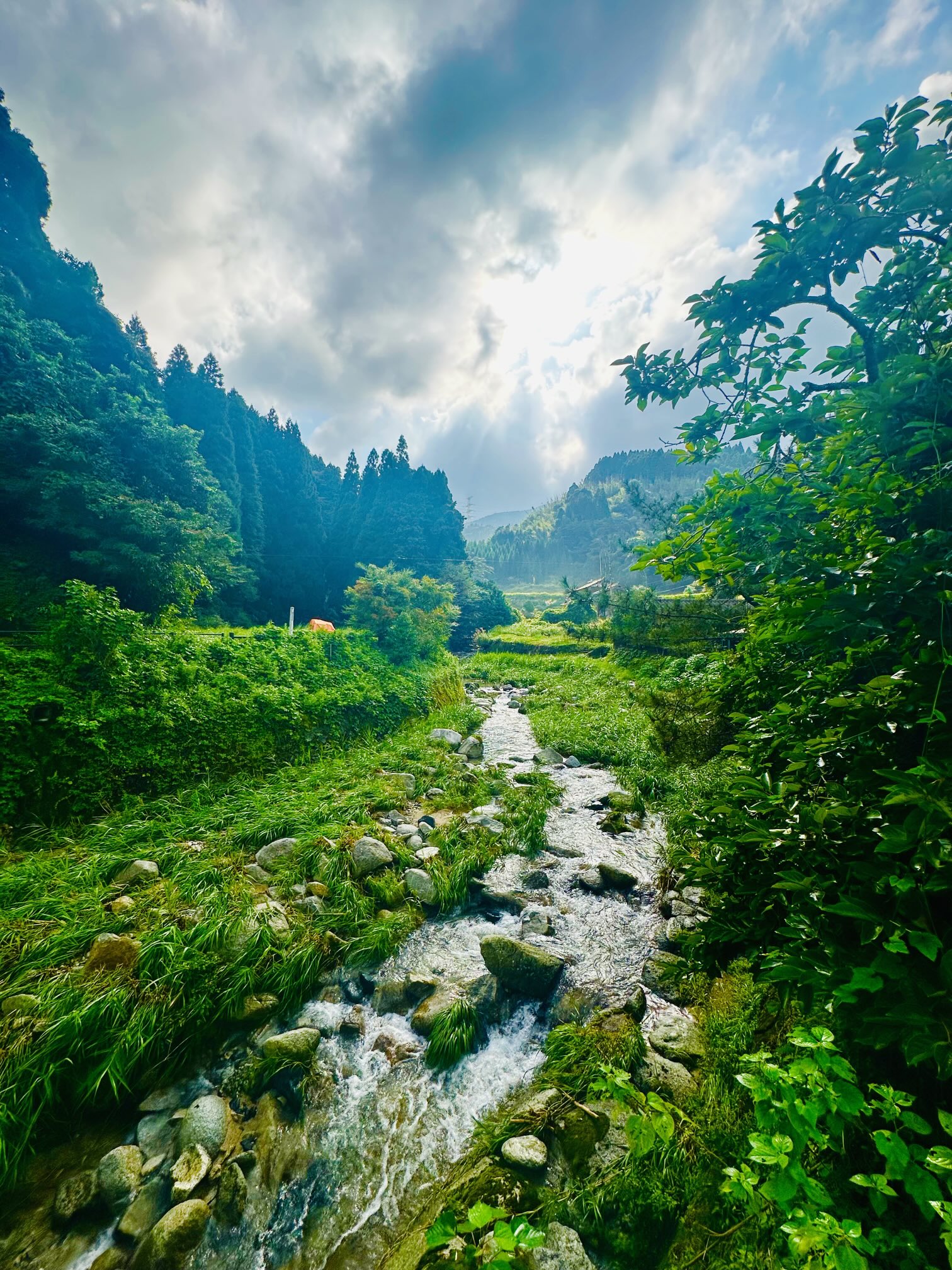 紘毅 (@Hirokinging) / X