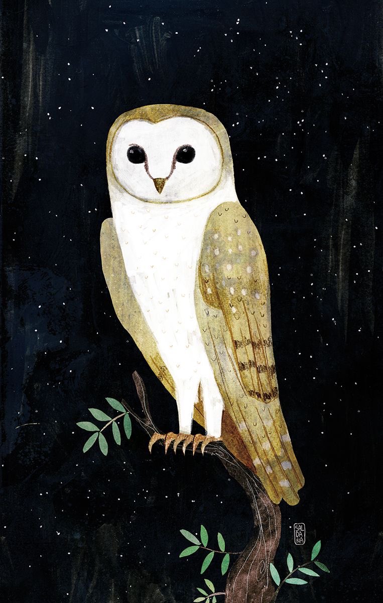 Atenea con mochuelo, búho o lechuza. 🦉 γλαυκῶπις