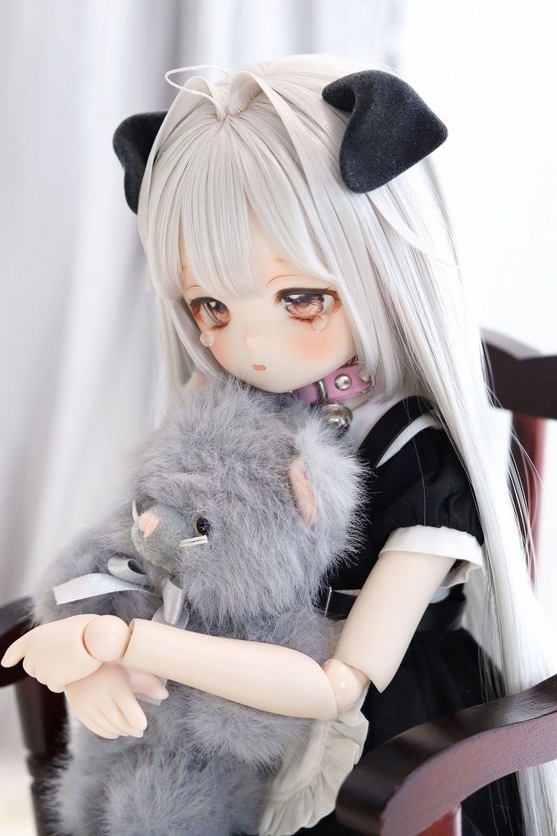 きょんちゃん ち on X: 