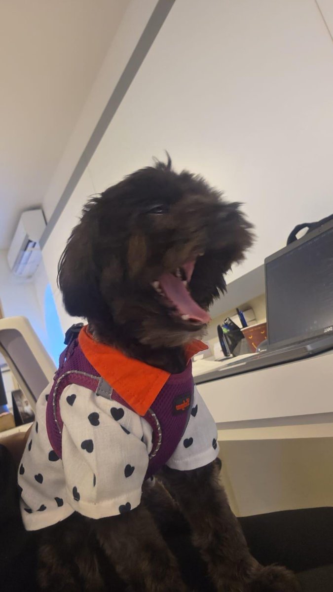 haftanın 5 günü iş mi olur mq ya