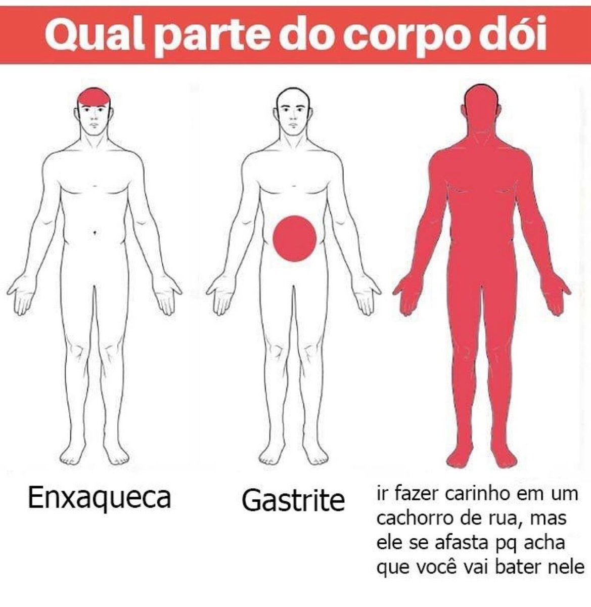 musa dos meme (@musadosmeme) on Twitter photo 