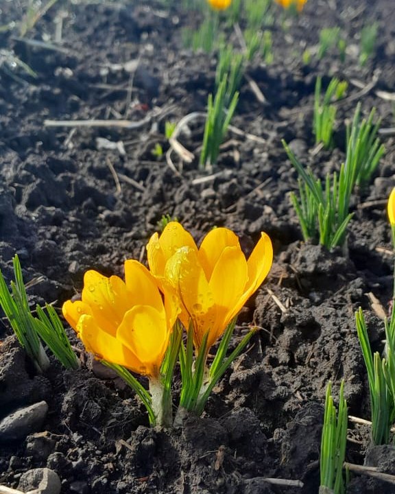 Agosto en #Patagonia

🌧️ Datos de precipitaciones y estado de pastizales en toda la región en una nueva entrega del Radar Ganadero 👉🏽bit.ly/4geRNnk 🌿

<a href="/IntaPatnor/">INTA Patagonia Norte</a> <a href="/intaargentina/">INTA</a>