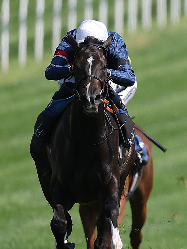 Racing Post tweet media