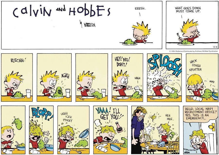 Calvin and Hobbes Fan Account tweet media