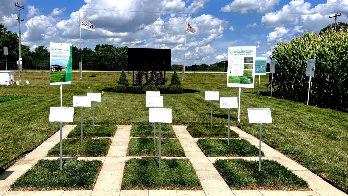 After a hot &amp; dry summer, resilience isn’t just a claim — it’s visible. The turf products on display at <a href="/OutdoorFarmShow/">Canada's Outdoor Farm Show</a> have proven to withstand stressful conditions. Swing by booth N-B before the show wraps to see which option might work best for your lawn. #COFS25 #cdnag