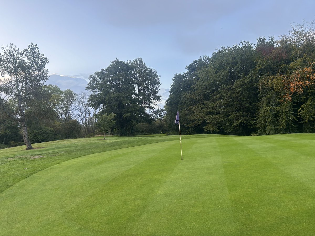 Mark Simmons tweet media