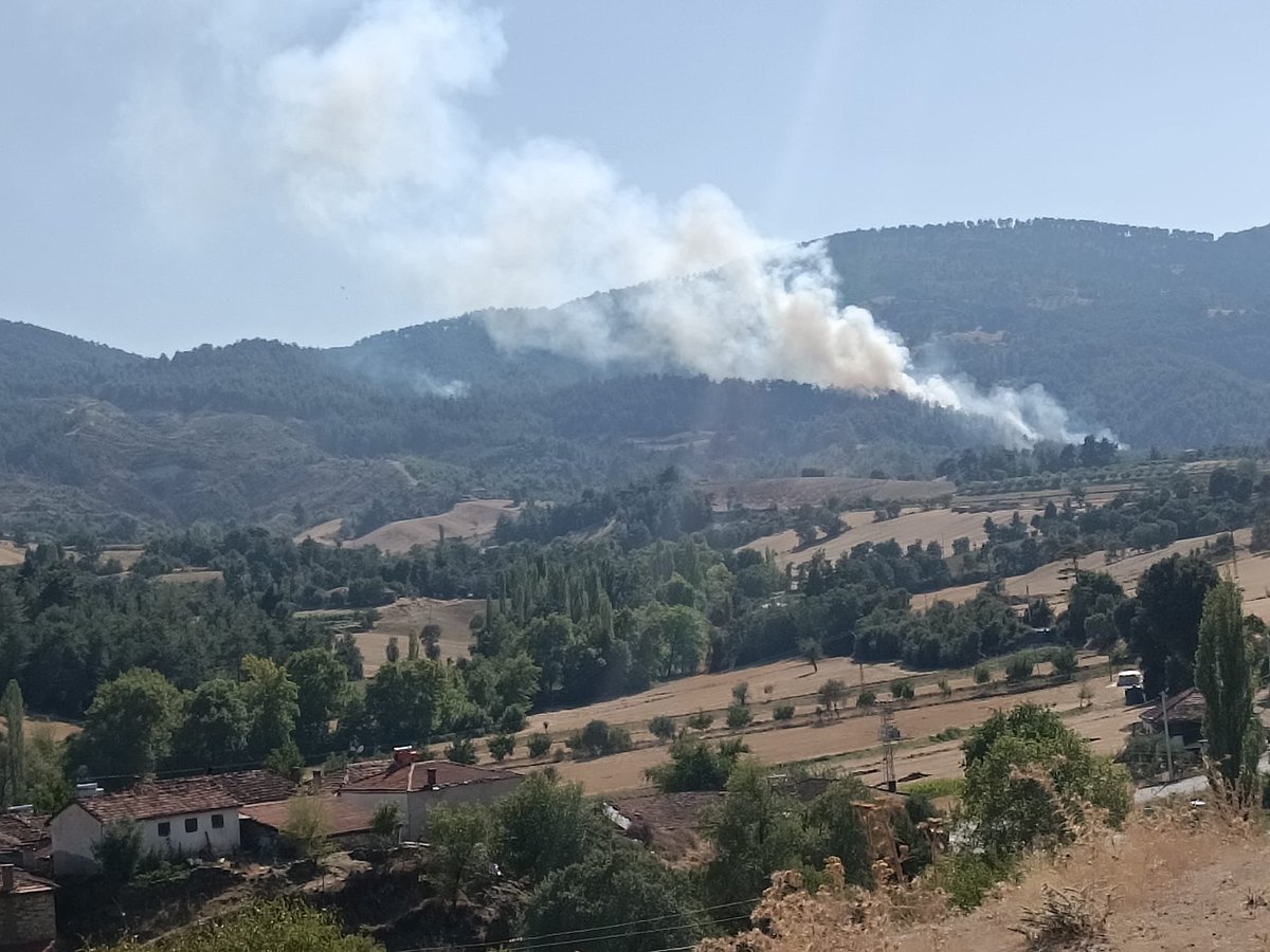 saliersoy's tweet photo. Buldan da yangın tekrar başladı. Büyümeden acil destek lazım. 10’gün önceki yangın 6 günde söndürülmüştü. Acil hava desteği lazım

#buldanyanıyor 
#denizliyanıyor #denizli #buldan @OGMgovtr @TCTarim @OGMgovtr https://t.co/xUvcpOBZxj