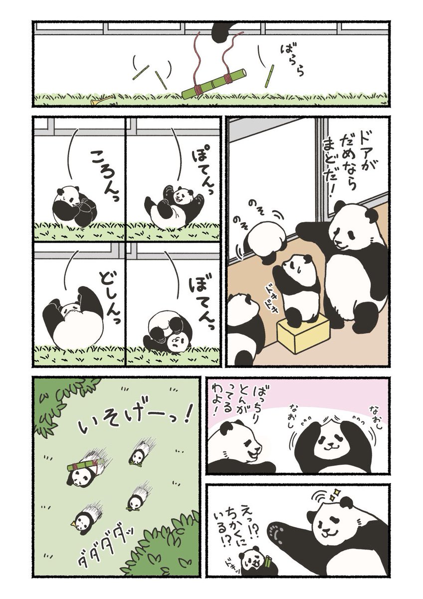 pandachan（感謝） ありがとう！ パンダ タンタン 激動のパン生 ～懸命に生きた28