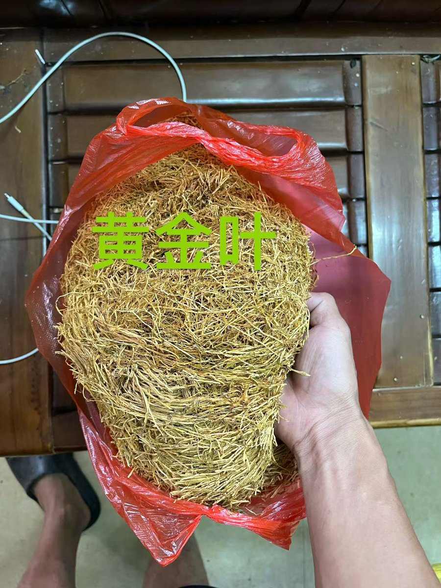 Moonlight16264's tweet photo. 请看置顶，一直在线，随时在欢迎老板到来  #中上部 #中劲 #美金烟 #烟斗丝 #手卷 #烟 #烟斗草 #烟草 #卷烟 #卷烟丝 #手卷丝 #黄金 #黄金叶 #青梗烟 #南雄烟 #广东烟 #黄烟 #南雄黄金叶 https://t.co/iBjVq8GVFO
