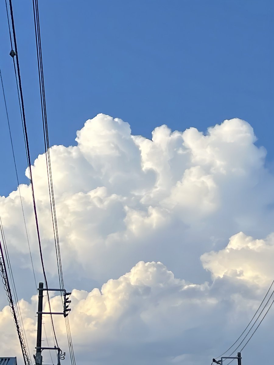 my fav outfit🩶💙

#日常垢
#日常垢さんと繋がりたい