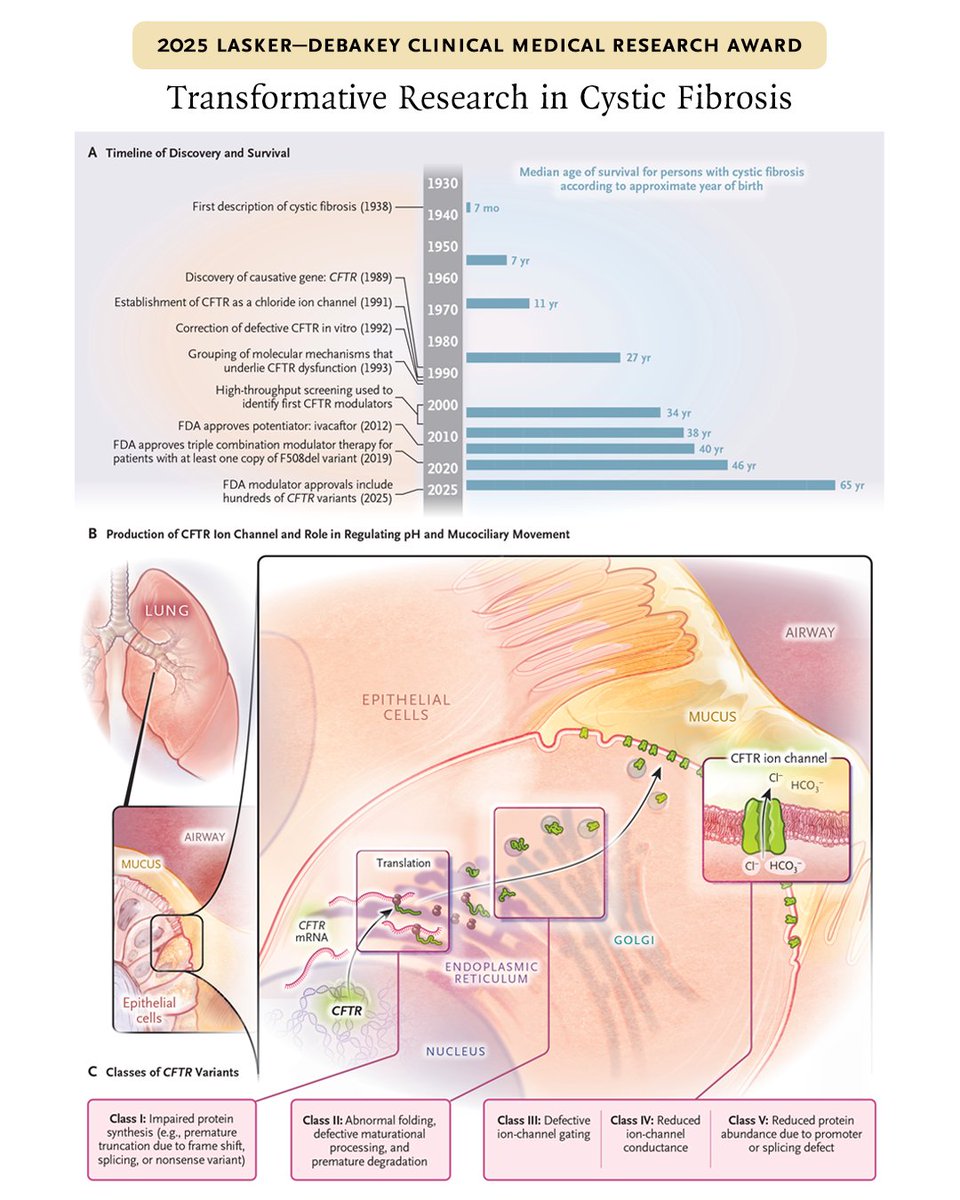 Drs. Michael Welsh, Jesús González, and Paul Negulescu have won the 2025 Lasker–DeBakey Clinical Medical Research Award for their roles in developing treatments for cystic fibrosis.  

Learn more in the Clinical Implications of Basic Research article “Transformative Research in