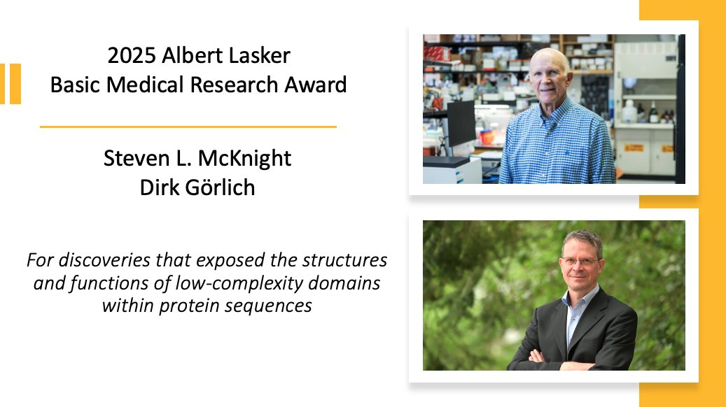 LaskerFDN's tweet image. Congratulations to Dirk Görlich and Steven L. McKnight, 2025 #LaskerAward winners! - “for discoveries that exposed the structures and functions of low-complexity domains within protein sequences”
#Lasker2025 #LaskerLaureate #structuralbiology #phaseseparation