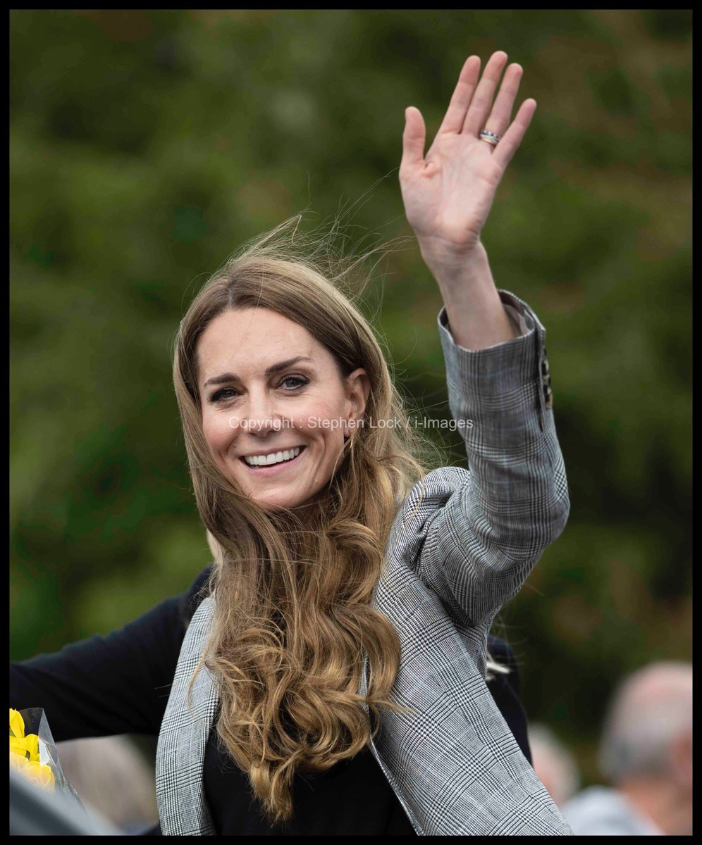 i-Images Picture Agency tweet media