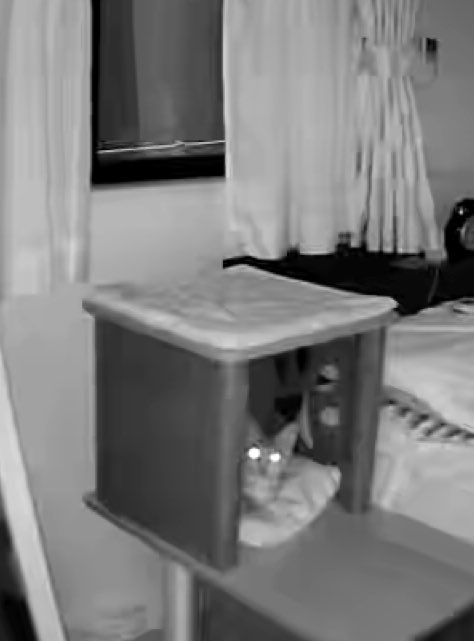 見守りカメラ購入したんだけど、なんか暗闇でもいけるっぽくて嬉しい！