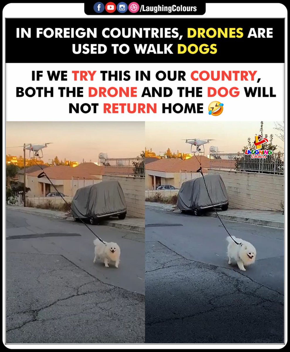 LaughingColours's tweet image. Drone walks the dog 🤣

#FunnyMeme #DroneFails #DogWalking #PetHumor #ViralMeme #LaughingColours