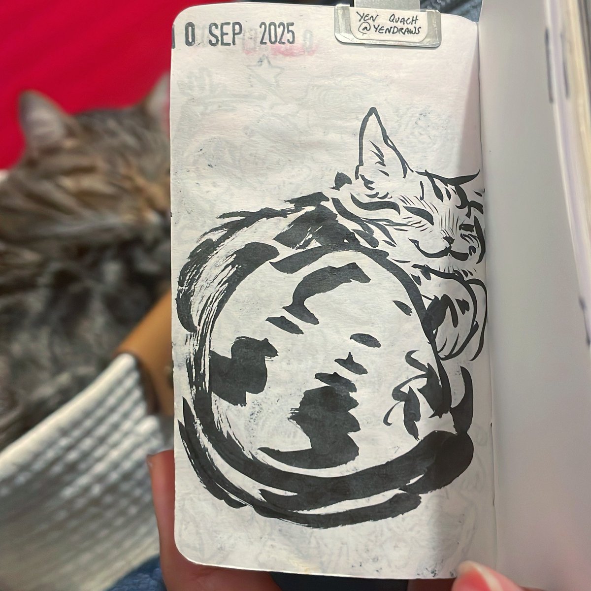 Professional snoozer 

🖋️pentel brush pen, platinum carbon ink
🗒️ Kokuyo business paper 
🌟 #draweveryday #ded2025