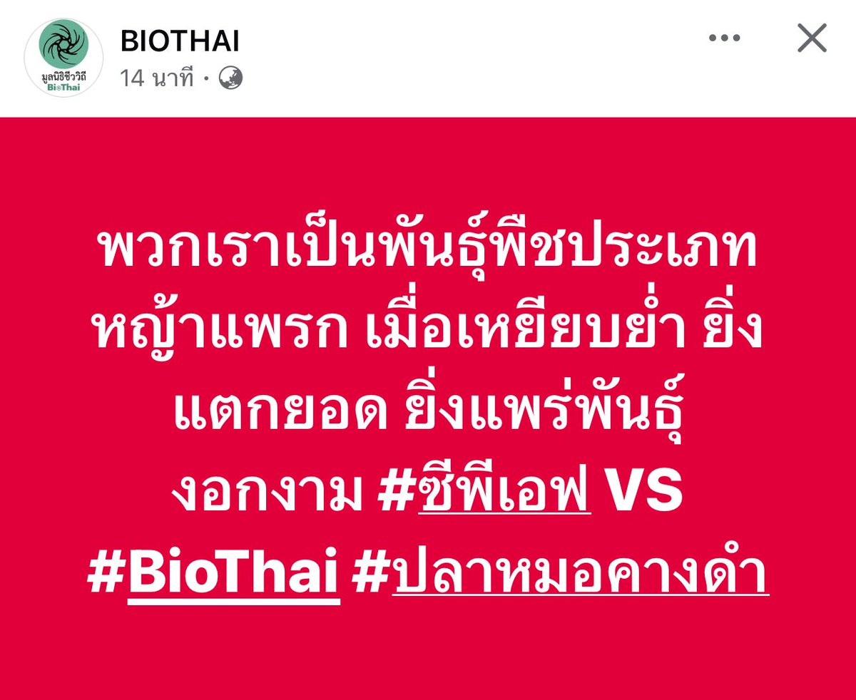 ผมขอส่งกำลังใจให้พี่ๆทีมงาน BIOTHAI ทุกคนครับ💪