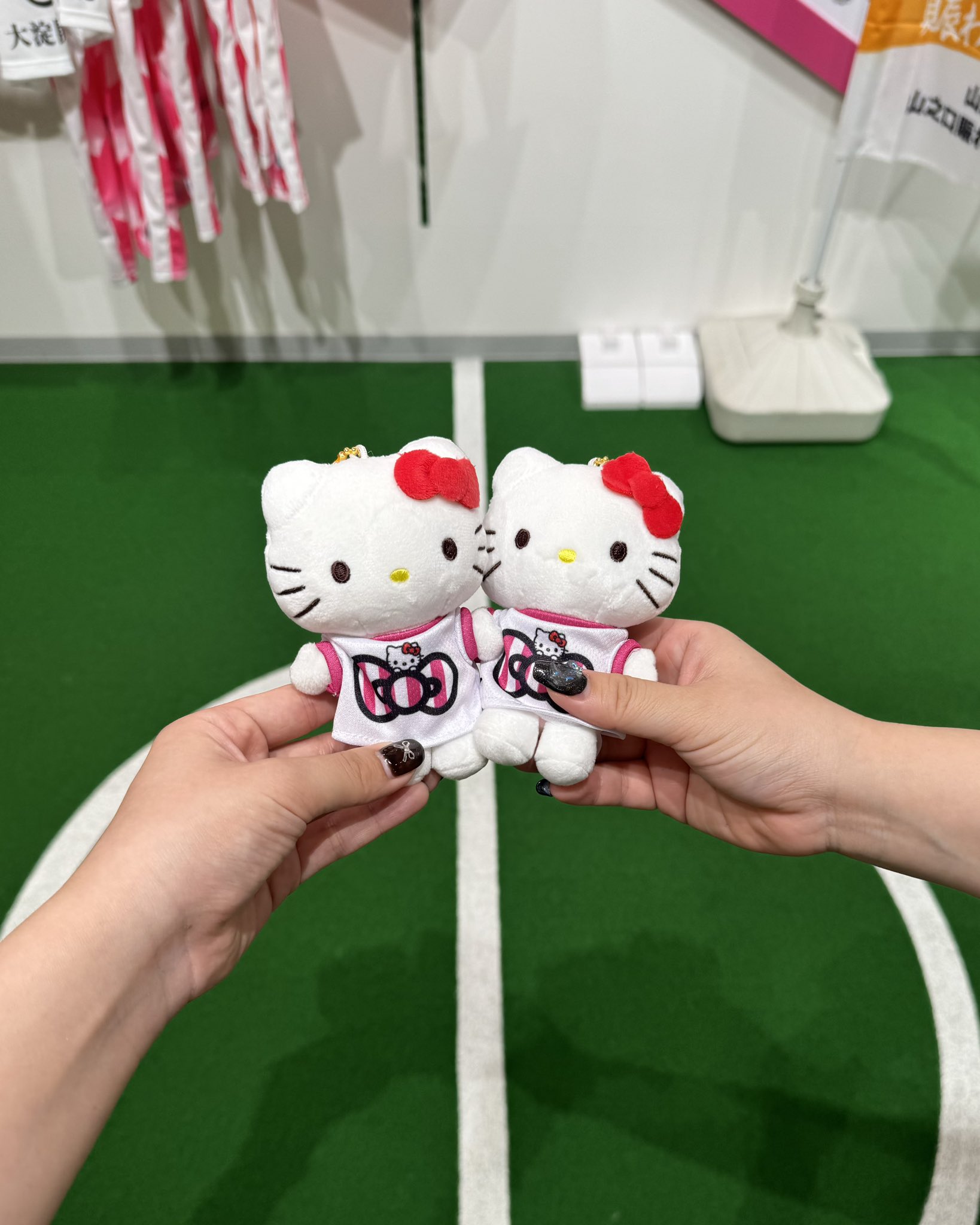 ◤激レア◢ 未使用品 伊香保グリーン牧場バージョン ハローキティ ◤激レア◢ 未使用品 伊香保グリーン牧場バージョン ハロー