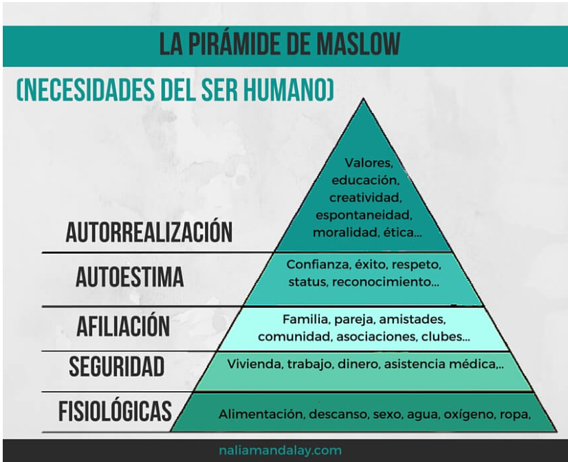 JosemaPotschka's tweet photo. @rinconet como doma este chad https://t.co/xulCwbL63q