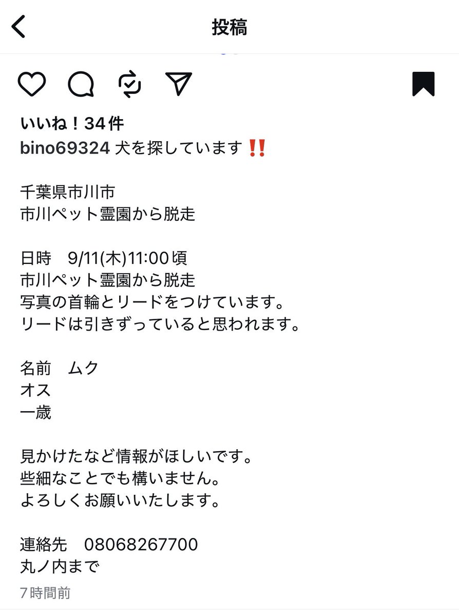 UniBrown2022's tweet photo. 迷子のムク君  1歳
9/11（木）11時頃
千葉県市川市　市川ペット霊園から脱走
写真と首輪とリードをつけているそうです。

投稿主の方から許可をいただきました。
よろしくお願いします。

#拡散希望 #迷い犬 https://t.co/Xh82xPeJCo