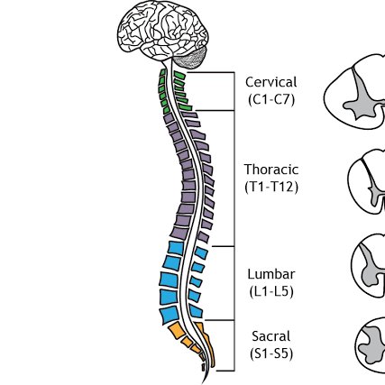 なるほどですね。 