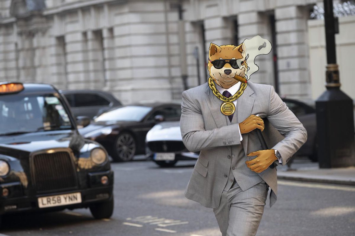 You don’t negotiate with a tiger. You stare it down.

🕰️🐺

Buy $DOGEN:

MEXC: mexc.com/exchange/DOGEN…

Raydium: raydium.io/swap/?inputMin…

DexScreener: dexscreener.com/solana/3hsn6ja…