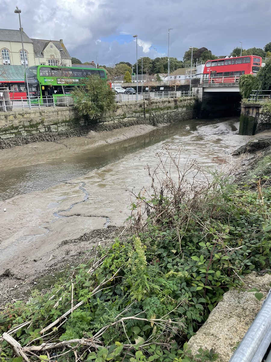 Река Kenwyn, не полноводная, потому что отлив, за мостом она впадает в реку Труро.