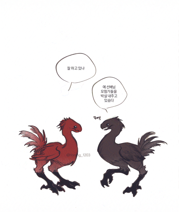 붉은혜성 검은별