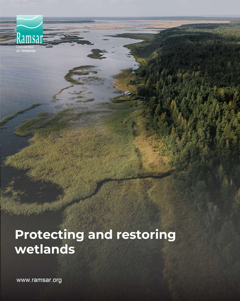 🌱 Restoring lost or degraded wetlands presents a valuable and cost-effective opportunity for society to recover and enhance benefits for human health.

💰 The total value of benefits that flow from a restored wetland are often several times higher than the cost of restoration.