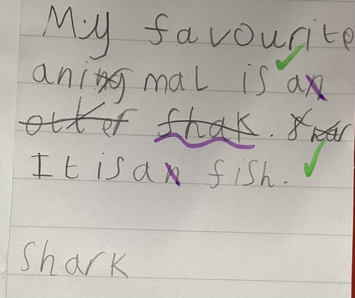 CamblesSchool's tweet photo. Team Otters have been working hard to sort vertebrates into their different groups. We have used our working scientifically skills to talk about the similarities and differences between each group #CamblesforthScience https://t.co/i3TzBgEBK1
