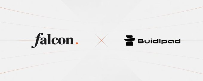 ČK 🐬TermMax tweet media