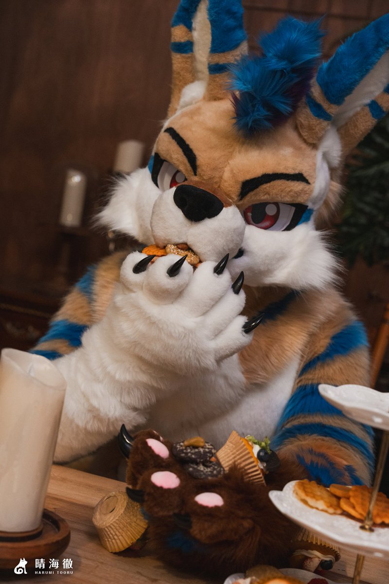 阿姆阿姆阿姆 (｡•﹃•｡)
------
📷：<a href="/tooruche/">晴海徹 (はるみ とおる) 寫真系Vtuber🔜獸無限</a>  
🪡：<a href="/magichxh/">黑猫クロネコ</a>
#FursuitFriday  #Fursuit #毛毛星期五