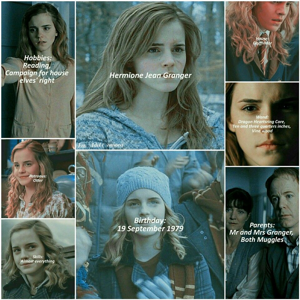 Harry Potter World tweet media