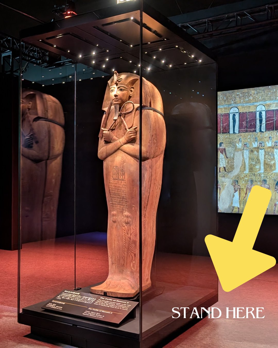 黄金のファラオ展 公式】ACN ラムセス大王展 ファラオたちの黄金