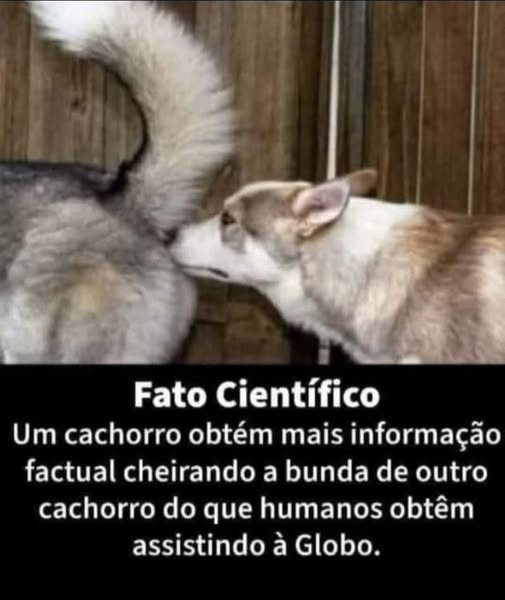 Miguel Diniz - Pátria amada Brasil (@inter1414) on Twitter photo Sem sombra de dúvidas‼️🗽 Sem sombra de dúvidas‼️🗽