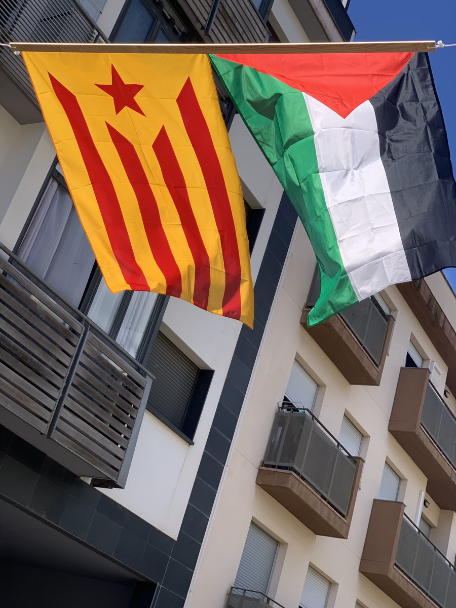 Joan_Herbera's tweet image. La meva Diada. #SantPeredeRibes #Ribes